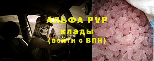 индика Балабаново