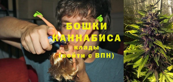 apvp Арсеньев