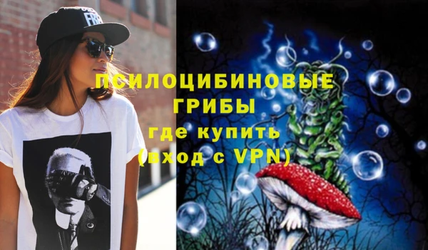 apvp Арсеньев