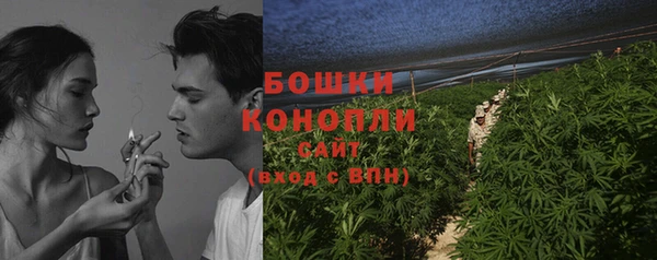 индика Балабаново
