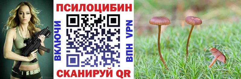 Галлюциногенные грибы Cubensis  МЕГА ссылка  Сердобск 